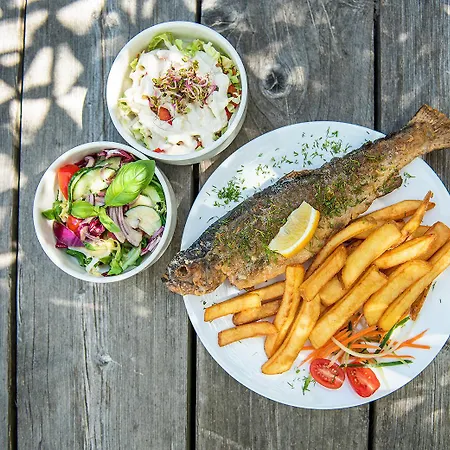 Campingplatz Maszoperia Sun4hel Kite&wind&surf